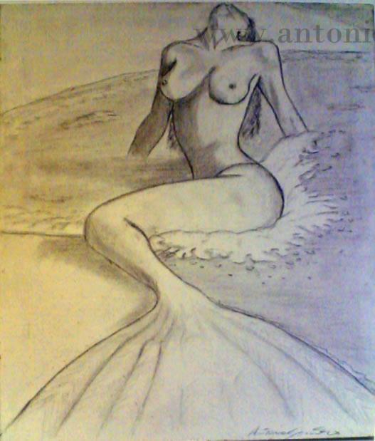 Disegni — Copertina collezione